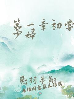 第一章初尝云雨少妇