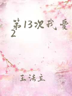 第13次我爱你2