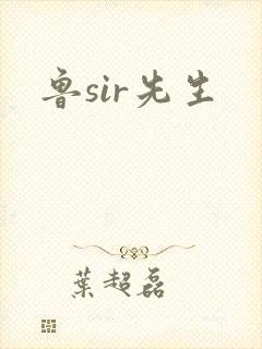 鲁sir先生