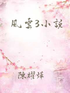 风云3小说