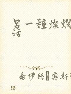 另一种灿烂的生活