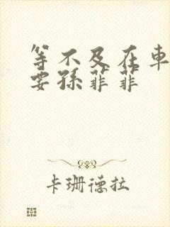 等不及在车里就要孙菲菲