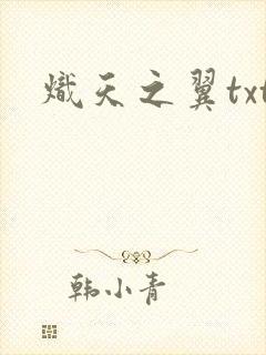 炽天之翼txt