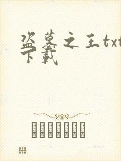 盗墓之王txt下载