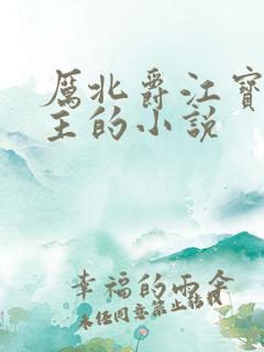 厉北爵江宝宝男主的小说