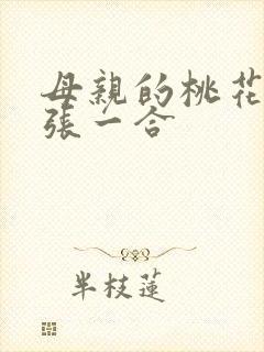 母亲的桃花源一张一合