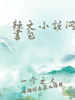 辣文小说网第二书包