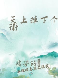 天上掉下个影卫卫