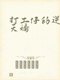 打工仔的逆袭楚天娇