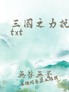 三国之力挽狂澜txt