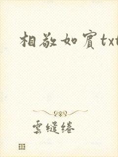 相敬如宾txt