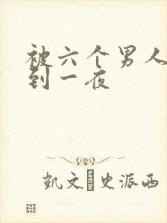 被六个男人躁J到一夜