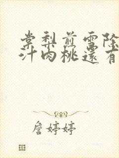 棠梨煎雪除了蜜汁肉桃还有什么肉