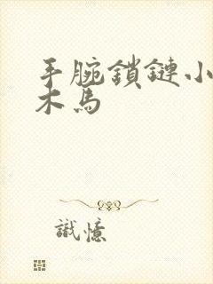 手腕锁链小黑屋木马