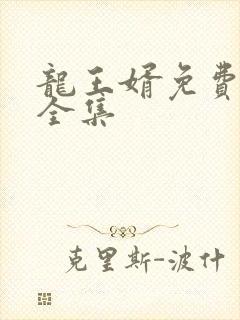 龙王婿免费完结全集