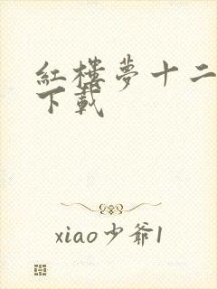 红楼梦十二金钗下载