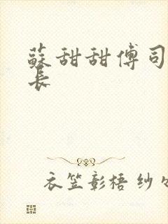 苏甜甜傅司衍机长