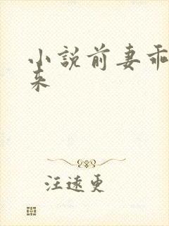 小说前妻乖乖回来