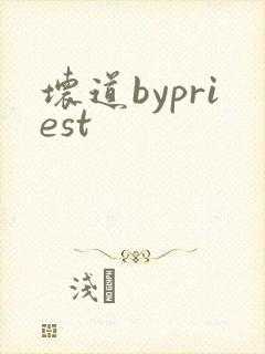 坏道bypriest