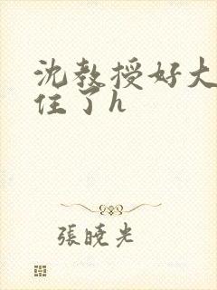沈教授好大含不住了h