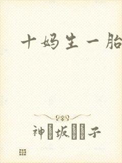 十妈生一胎