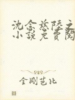 沈念慈陆之天的小说免费阅读