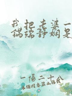 我把老婆一家一锅端静娴是什么书