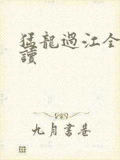 猛龙过江全文阅读