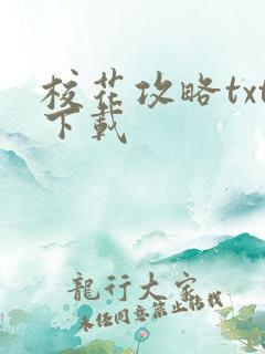 校花攻略txt下载