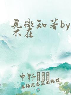 见微知著by音不在