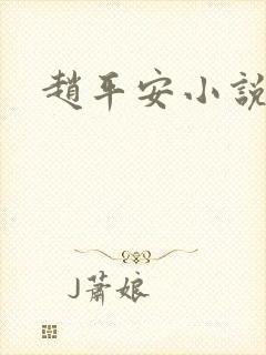 赵平安小说主角