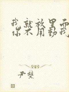 我就放里面不动你不用动我动