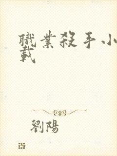 职业杀手小说下载