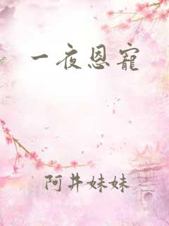 一夜恩宠