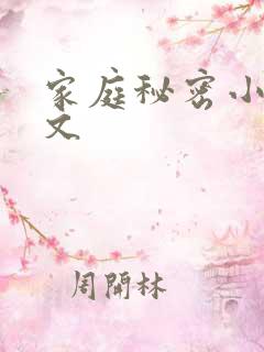 家庭秘密小说全文