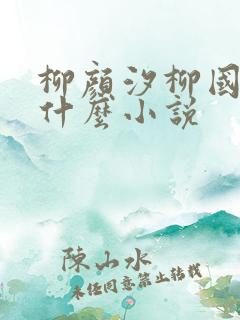 柳颜汐柳国安是什么小说