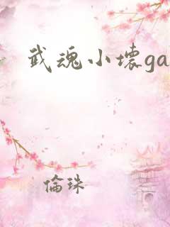 武魂小坏ga