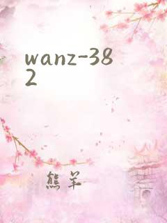 wanz-382