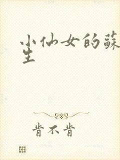 小仙女的苏撩先生