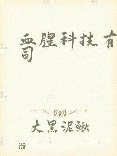 血腥科技有限公司