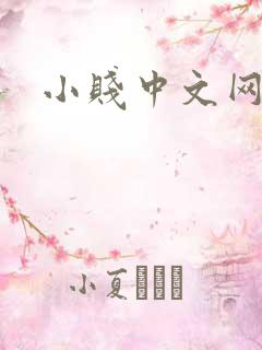 小贱中文网