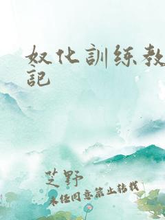 奴化训练教程日记