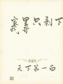 家里只剩下我和我哥