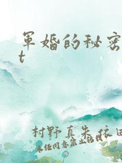 军婚的秘密txt