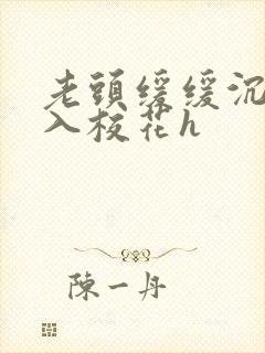 老头缓缓沉腰进入校花h