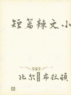短篇辣文小说