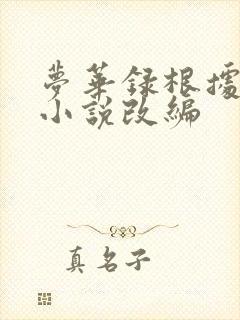 梦华录根据什么小说改编