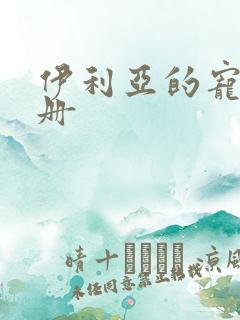 伊利亚的宠物手册