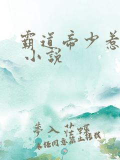 霸道帝少惹不得 小说