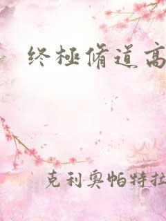 终极修道高手